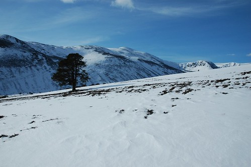 Lone Pine and Derry Cairngorm