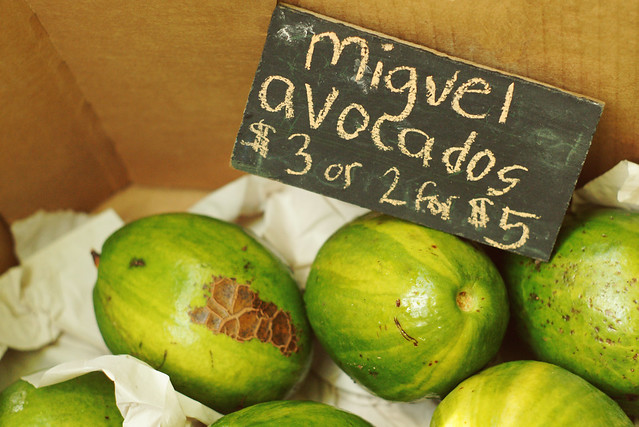 Avocados @ the Farmer's Market