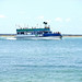 Ferry with PalmsDunedin,Fl