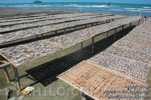 dumulog roxas, fish drying area