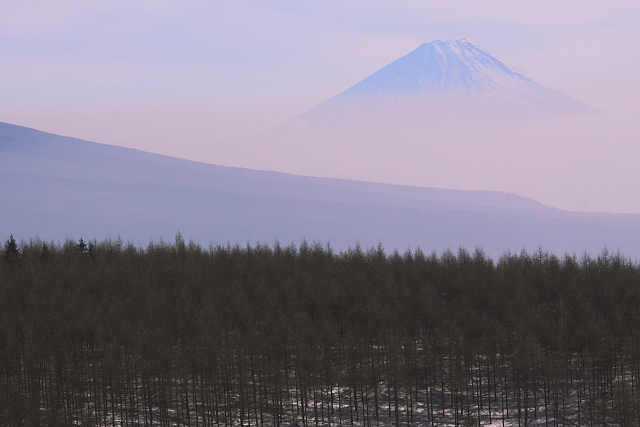 霧ヶ峰から望む富士山