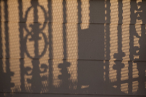 Project 365 # 30: Shadows