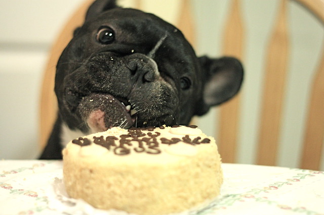 Arrrg..I want cake!