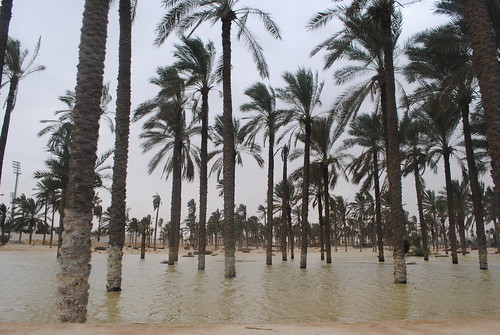 Sinai floods