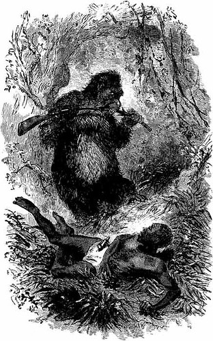 GORILLA ATTACK illo. from LOST IN THE JUNGLE (1900)