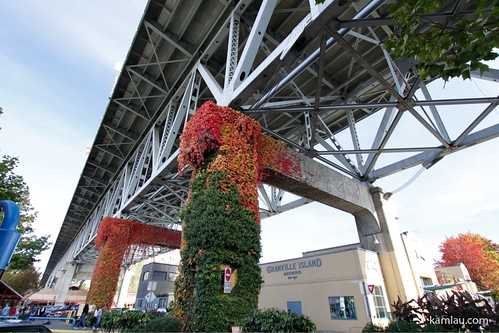 Granville Island in Autumn by you.