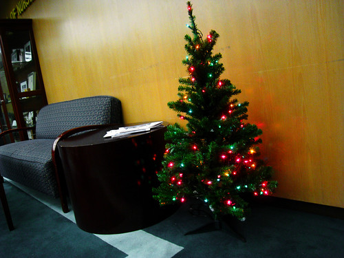 lobby tree at APU