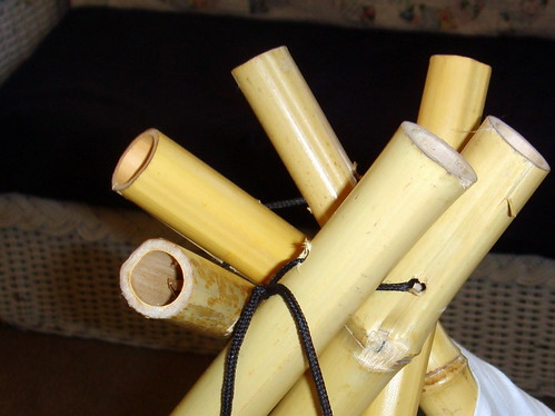 tee pee bamboo sticks 