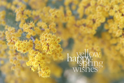 today i'm wishing for...