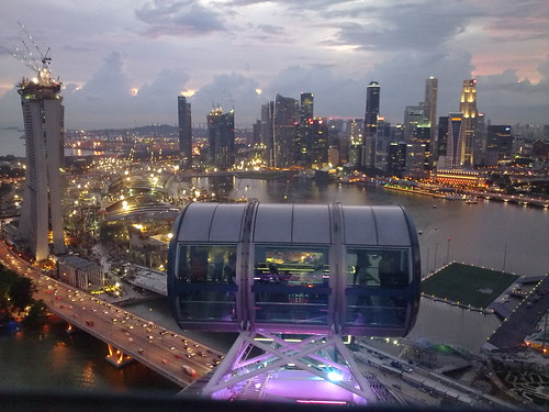 Singapore Flyer - at the top #3