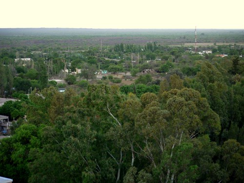 Vista de Valle Fértil 2 (by morrissey)