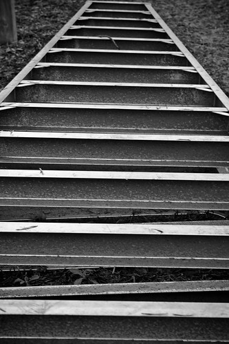 Ladder in black and white