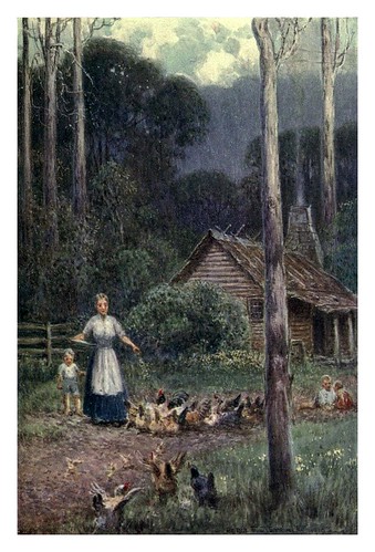 030-Una choza de madera-Australia (1910)-Percy F. Spence