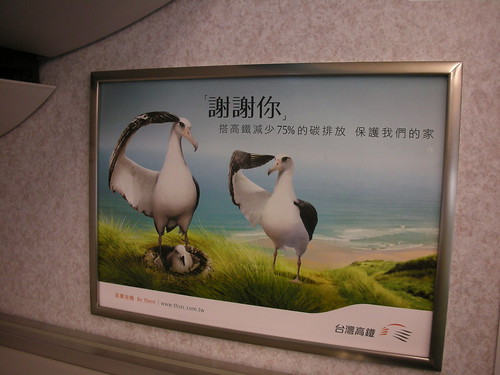 這是高鐵的廣告，覺得這海鷗蠻搞笑