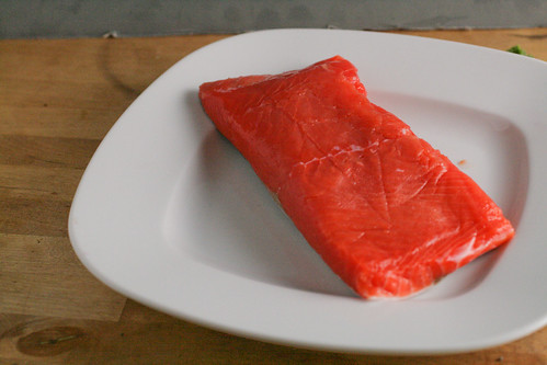 Salmon 1