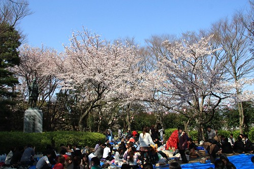 浜松城公園-Hamamatsu castle park