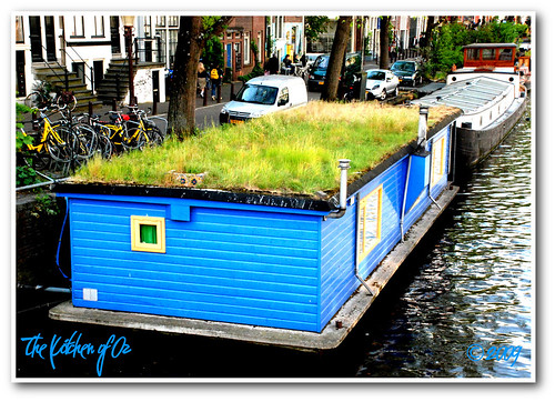 Amsterdam's Floating Houses