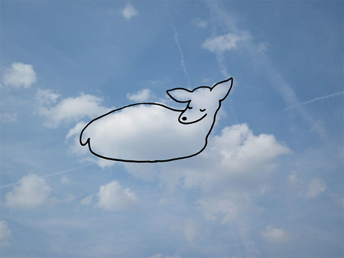 Cloud Drawing - Fawn Sleeping in the Forest