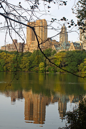Central Park pond and buildings