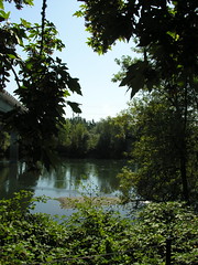 Willamette River near 1st Street