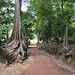 Angkor Thom, near the North Gate (3) by Prof. Mortel