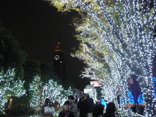 Shinjuku Illumination - 2