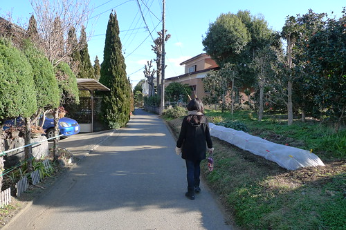 Walking through the Tsukui neighbourhood