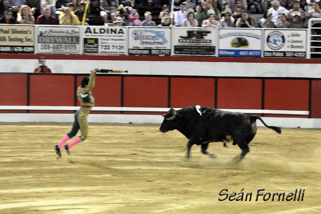 Modesto Festa Bullfights 2011 - 144