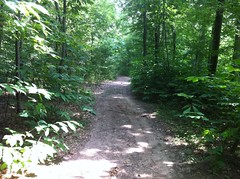  Wide Trail 