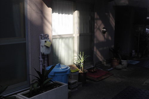 tokyo light and shade 3