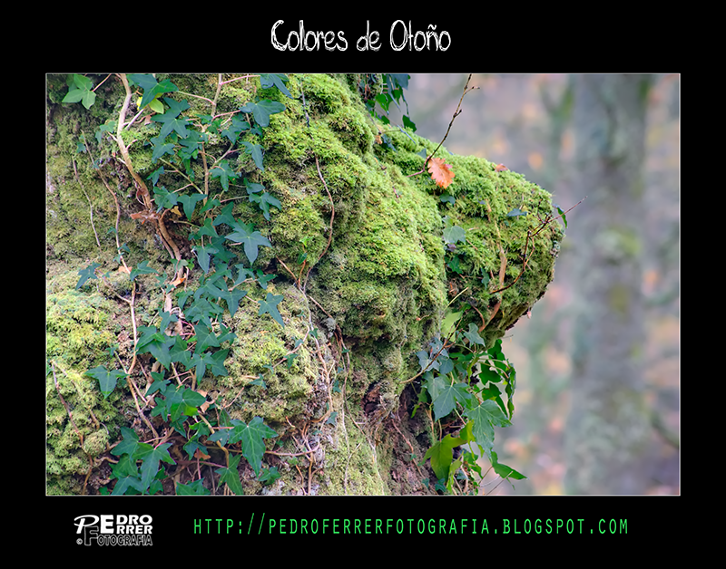 Ucieda - Colores de Otoño - Kdd Rincones de Cantabria