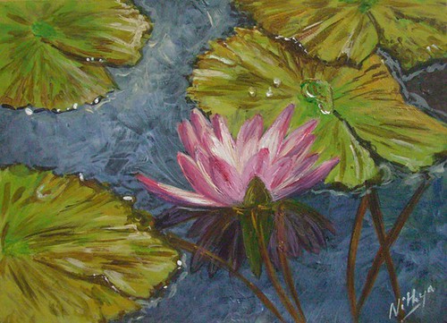 Waterlily #4