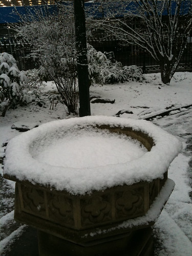Snowy Fountain