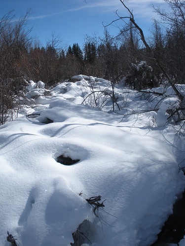 Winter Snow at Taylor Creek