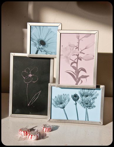 recycled multi-frame picture frame chalkboard