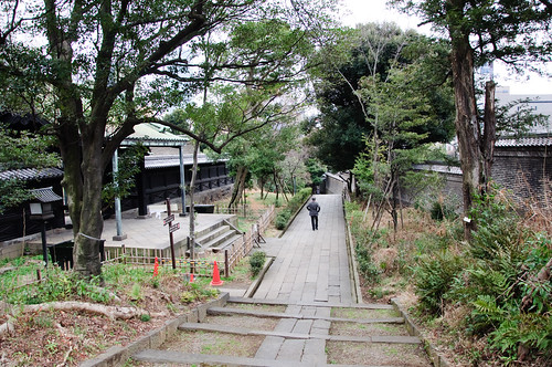 yushima seido grove