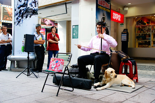 二胡演奏家和他的狗