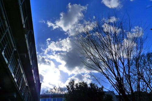 Blue skies outside Wakeijuku