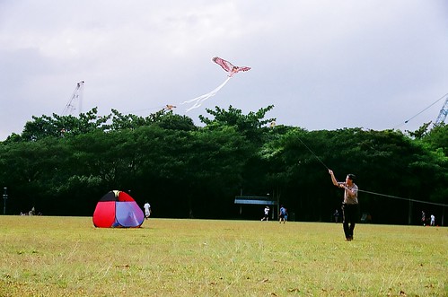 Day out with the kite #2