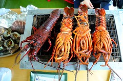Ise Lobsters, Matoya Bay Cruise