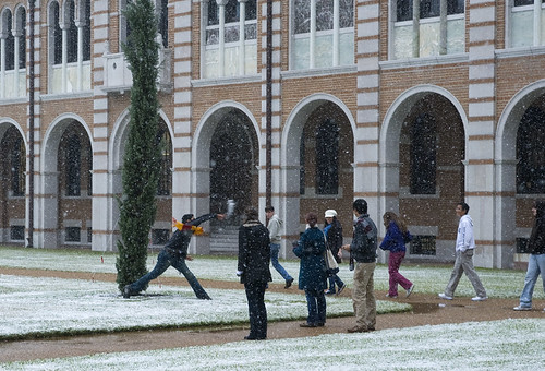 Snow Day at Rice University, click for Flickr ste