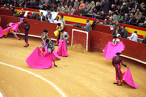 showing-off-torero