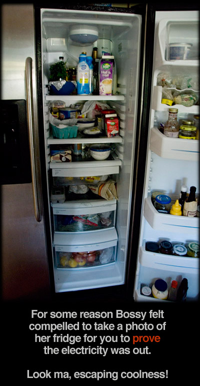 inside-fridge