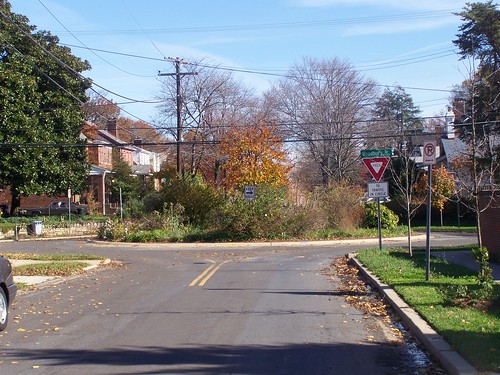 Roundabout on Fern Street in Silver Spring, Maryland