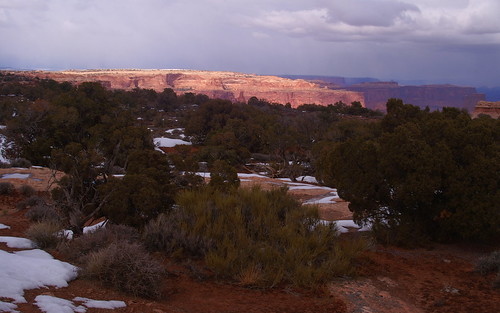 Late light in Canyonlands