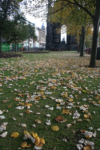Orange leaves on green grass, Edinburgh in Autumn