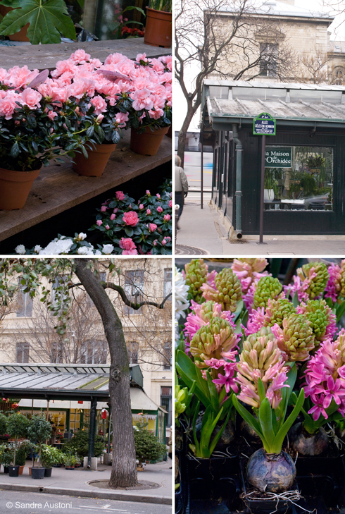Flower Market, Paris