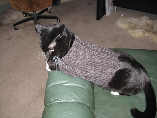 Infamous Cat Sweater