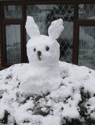 Snow bunny in a bush
