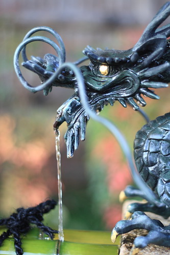 Dragon-shaped water outlet at Seimei Jinja Shrine